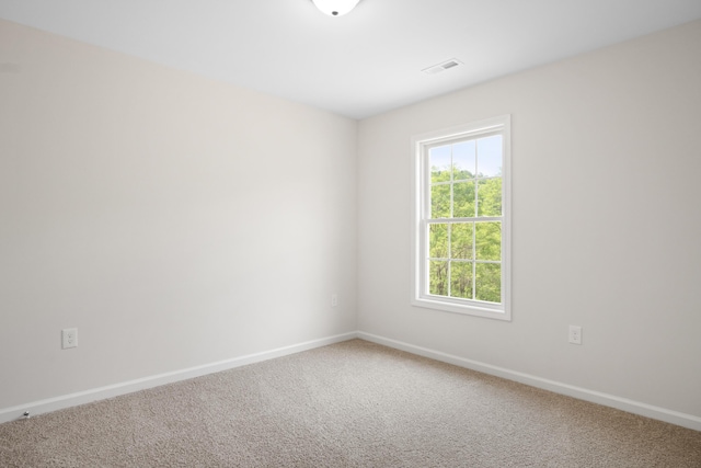 5595 New Pleasant Way, Salem, VA 24153 - carpeted spare room with baseboards, plenty of natural light, and visible vents