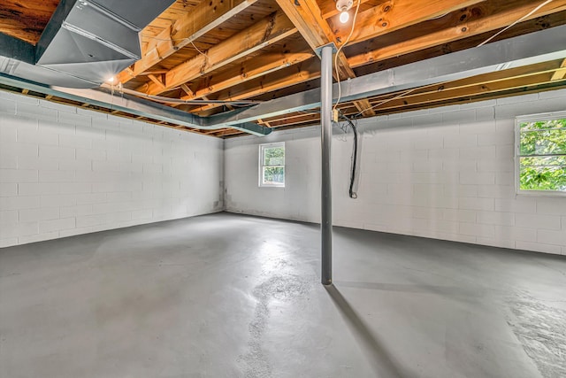 basement featuring a wealth of natural light