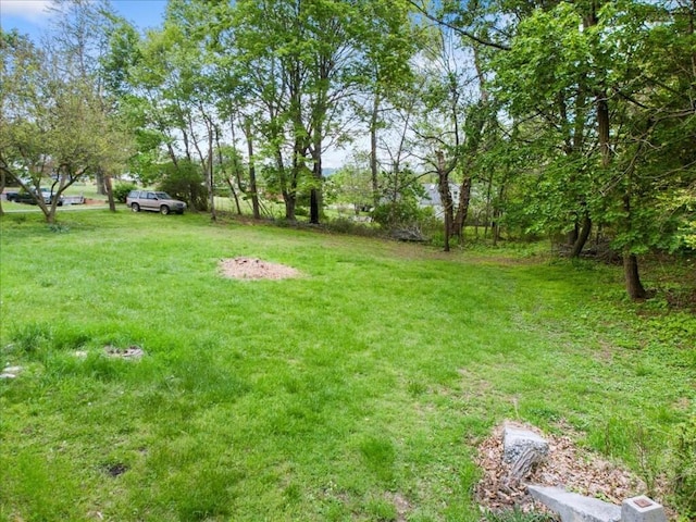 view of yard