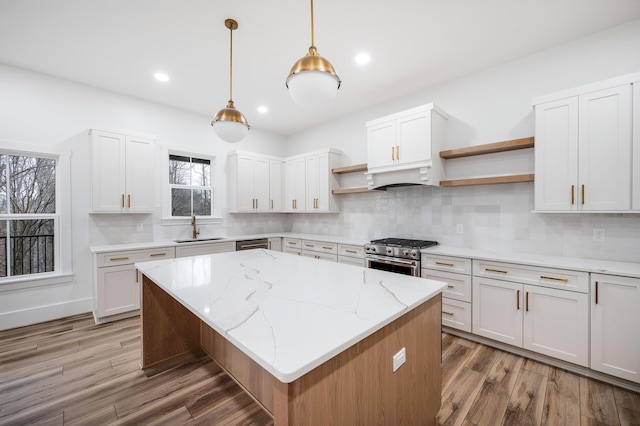 1065 Cedar Fox Ct, Forest, VA 24551 - kitchen with a sink, stainless steel appliances, open shelves, a kitchen island, and light wood-style floors