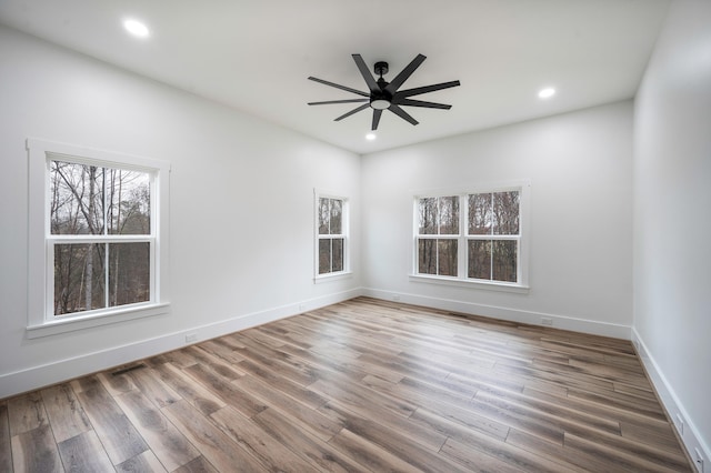 1065 Cedar Fox Ct, Forest, VA 24551 - empty room with a wealth of natural light, wood finished floors, baseboards, and ceiling fan
