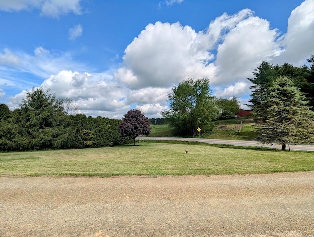 180 Daniels Run Rd NE, Copper Hill, VA 24079 - view of yard