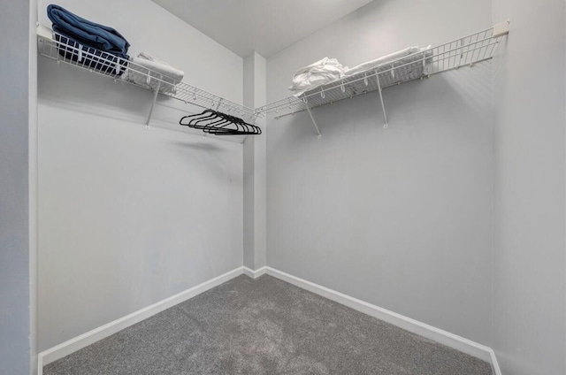 1100 Celebration Ave Unit 405, Moneta, VA 24121 - walk in closet featuring carpet