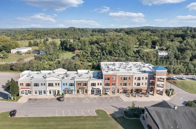 1100 Celebration Ave Unit 405, Moneta, VA 24121 - bird's eye view of a heavily wooded area