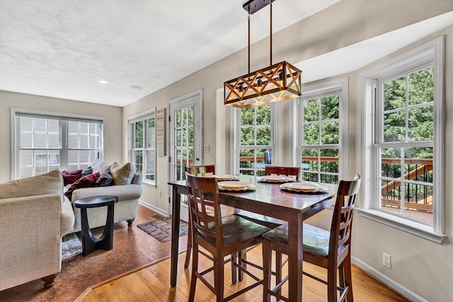 4848 Hickory Ridge Ct, Roanoke, VA 24018 - dining room featuring baseboards, healthy amount of natural light, and wood finished floors