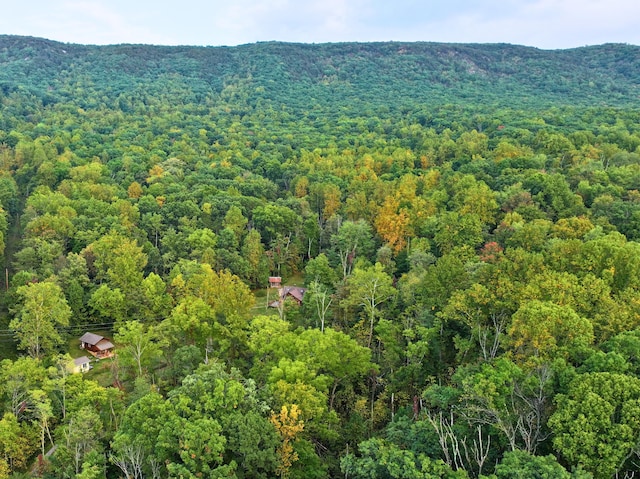 195 Lost Spring Ln, Lexington, VA 24450 - bird's eye view featuring a wooded view