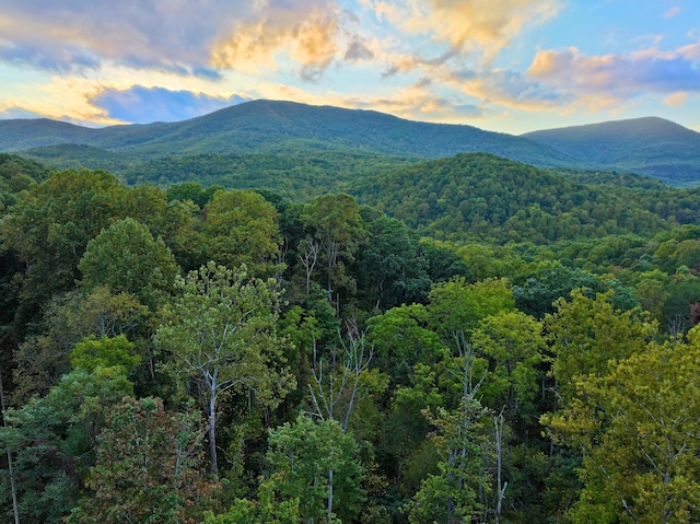 195 Lost Spring Ln, Lexington, VA 24450 - mountain view with a view of trees