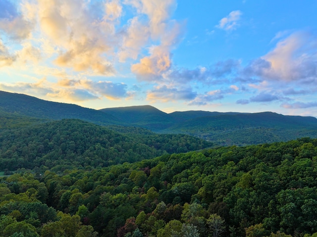 195 Lost Spring Ln, Lexington, VA 24450 - mountain view featuring a view of trees