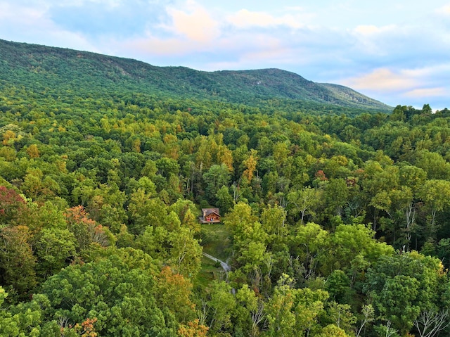 195 Lost Spring Ln, Lexington, VA 24450 - bird's eye view with a mountain view and a forest view