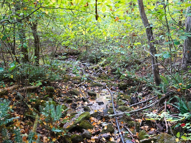 195 Lost Spring Ln, Lexington, VA 24450 - view of local wilderness