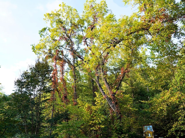 195 Lost Spring Ln, Lexington, VA 24450 - view of nature featuring a wooded view