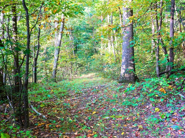 195 Lost Spring Ln, Lexington, VA 24450 - view of nature featuring a wooded view