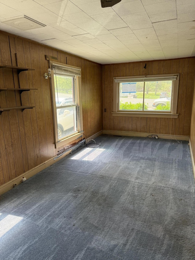 2807 S Carpenter Dr, Covington, VA 24426 - carpeted empty room with wood walls, a wealth of natural light, and baseboards