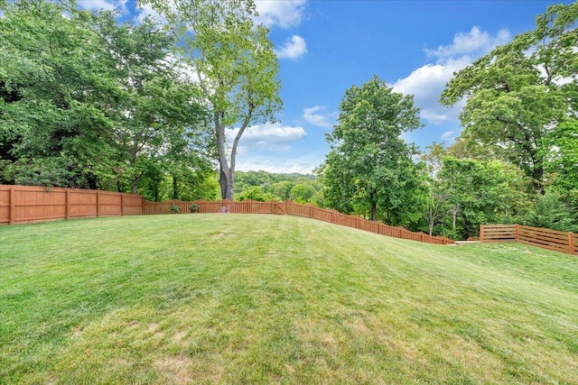 view of yard