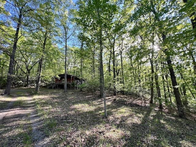 view of yard with a wooded view