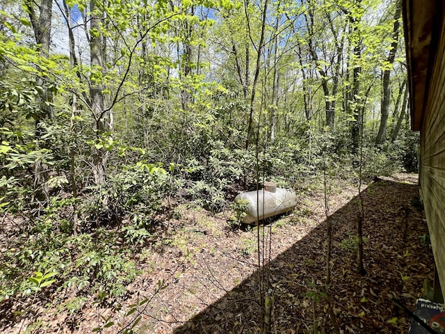 view of nature