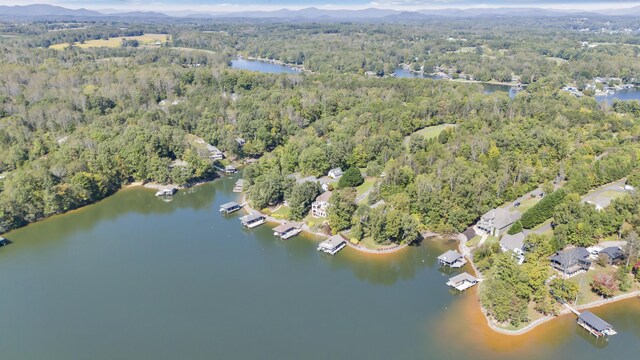 2580 Lakewood Forest Rd, Moneta, VA 24121 - aerial view of property's location featuring a forest and a water and mountain view