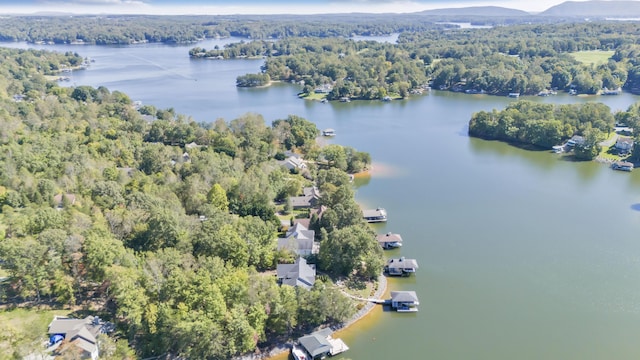 2580 Lakewood Forest Rd, Moneta, VA 24121 - drone / aerial view of a forest and a nearby body of water