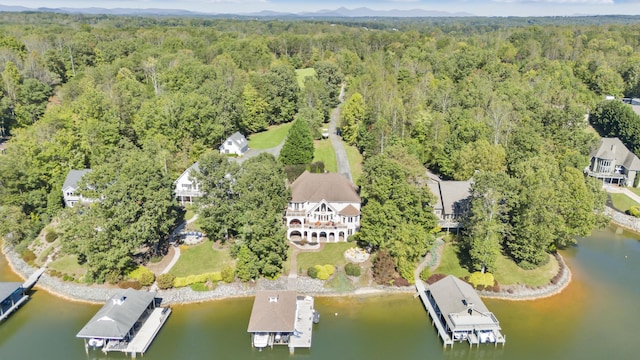 2580 Lakewood Forest Rd, Moneta, VA 24121 - aerial view of property's location with a forest and a large body of water