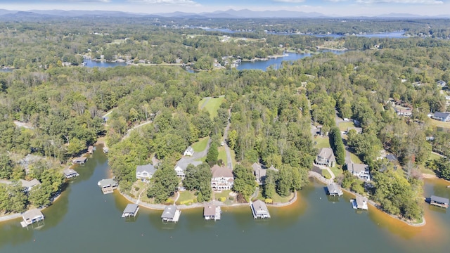 2580 Lakewood Forest Rd, Moneta, VA 24121 - view of property location with a heavily wooded area and a large body of water