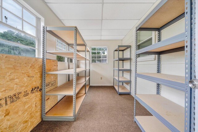 1218 Grayson Ave NW, Roanoke, VA 24017 - view of storage room
