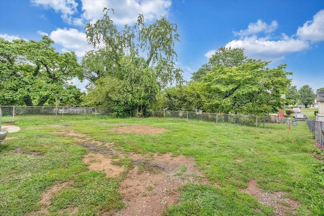 1218 Grayson Ave NW, Roanoke, VA 24017 - view of yard