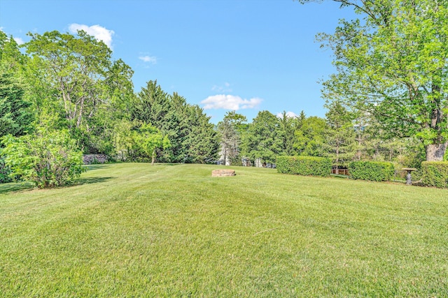 view of grassy yard
