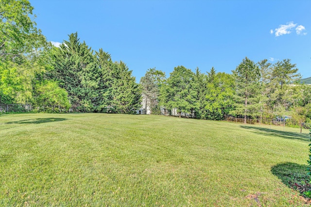 view of yard