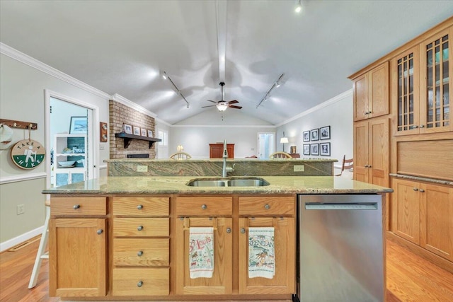 kitchen with stainless steel dishwasher, track lighting, a sink, light wood-type flooring, and ceiling fan