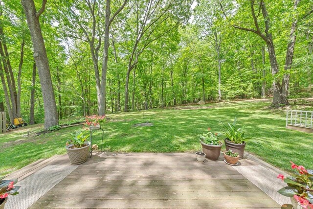 view of patio featuring a deck and a forest view