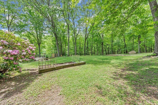 view of green lawn featuring a vegetable garden