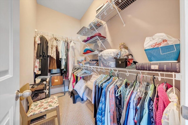 1119 Park Hall Rd, Huddleston, VA 24104 - walk in closet with carpet flooring