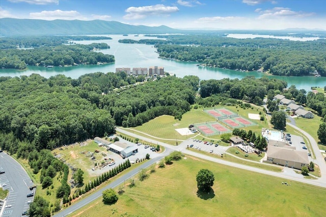 1119 Park Hall Rd, Huddleston, VA 24104 - drone / aerial view of a water and mountain view and a forest
