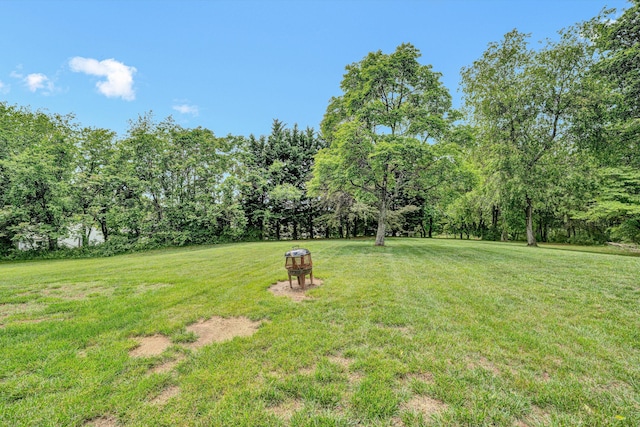 view of green lawn