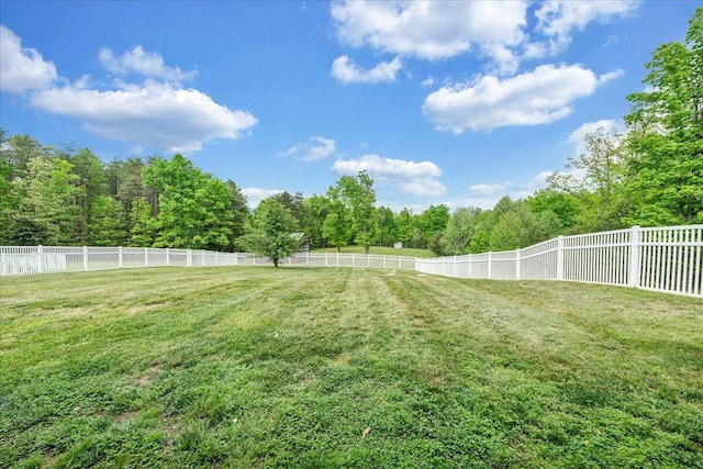 view of yard featuring a forest view