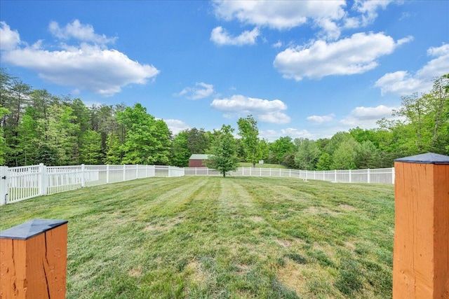 view of yard featuring a view of trees