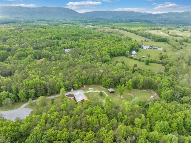 bird's eye view of a forest and a mountain backdrop