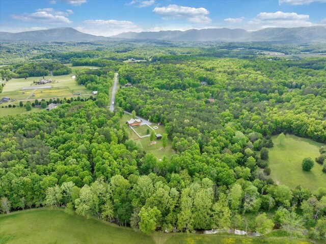 bird's eye view of a mountainous background and a forest
