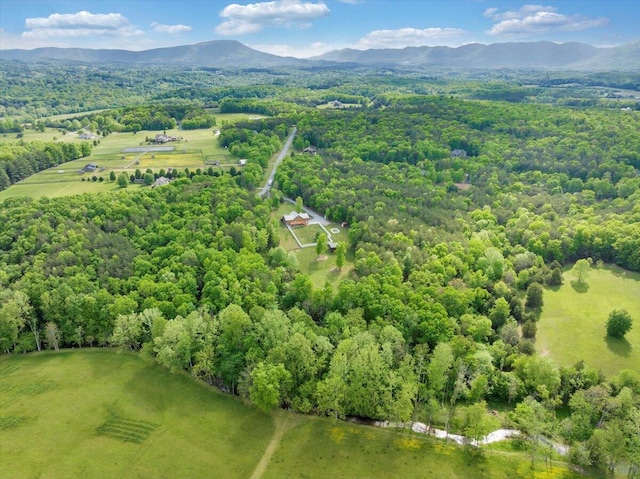 drone / aerial view of mountains and a forest