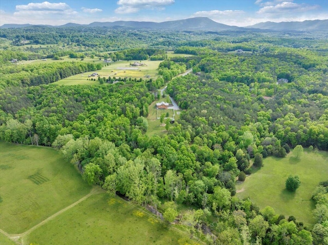 aerial view of a mountainous background and a forest