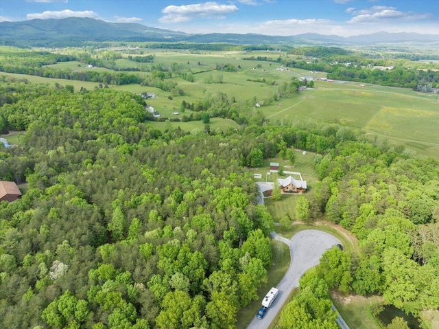 aerial overview of property's location with a forest and a mountain backdrop