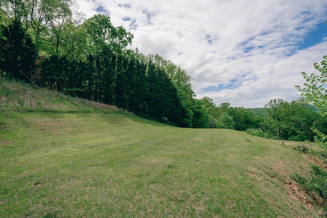 0 Archway Rd, Blue Ridge, VA 24064