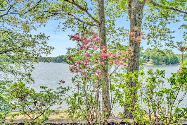 water view