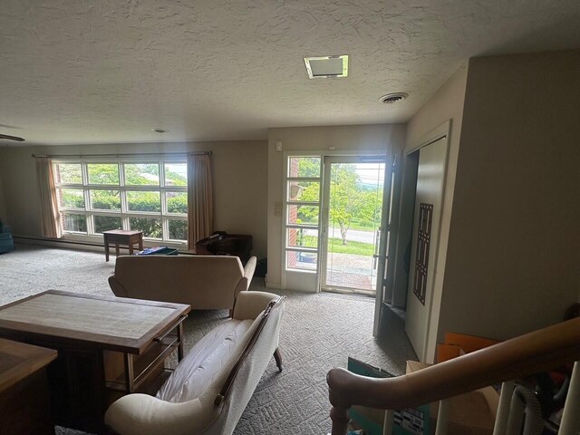 living room with carpet flooring and a textured ceiling