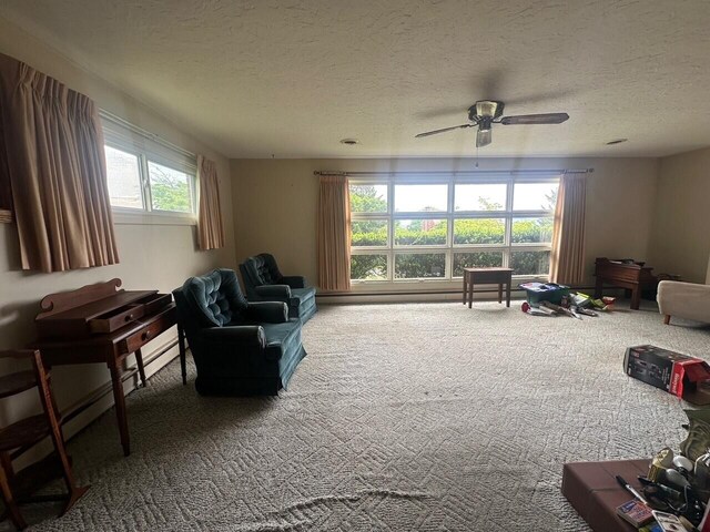 living area with carpet flooring, a ceiling fan, and a textured ceiling