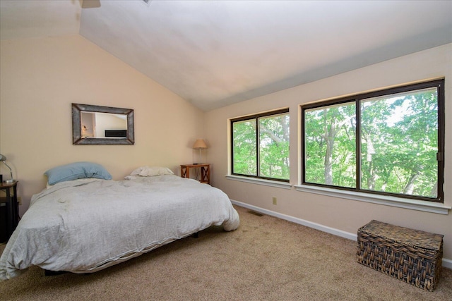 3279 Forest Ridge Rd, Roanoke, VA 24018 - carpeted bedroom featuring lofted ceiling and baseboards