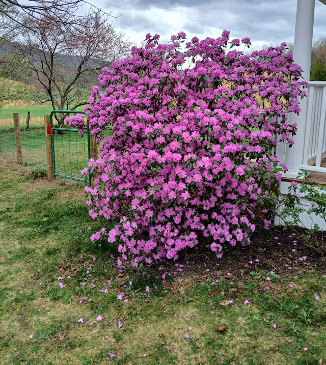 exterior view of fence