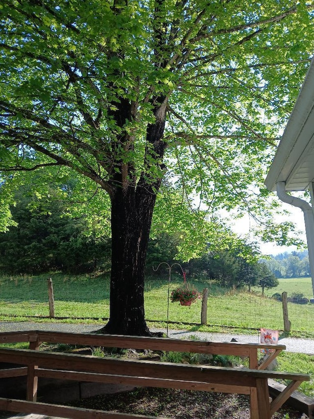 5110 Rich Patch Rd, Covington, VA 24426 - view of green lawn
