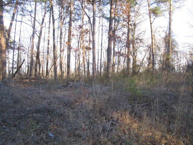 0 Carver Rd, Martinsville, VA 24112