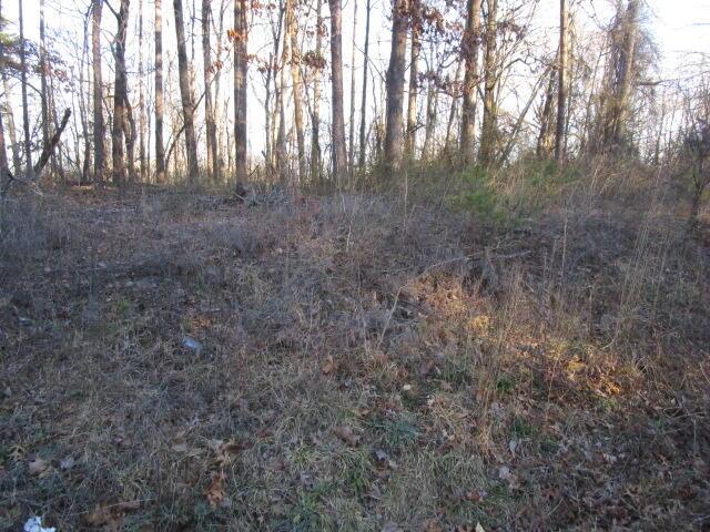 0 Carver Rd, Martinsville, VA 24112